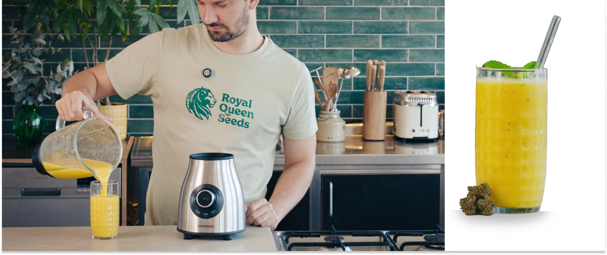 Step 4–5: Blend the cannabis smoothie until creamy and serve immediately Blending a mango cannabis smoothie and pouring the finished drink into a glass, ready to serve with a smooth, creamy texture.