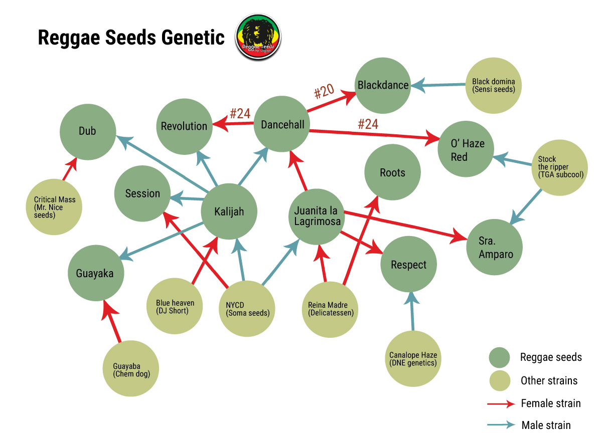 The roots and parentage of Juanita la Lagrimosa