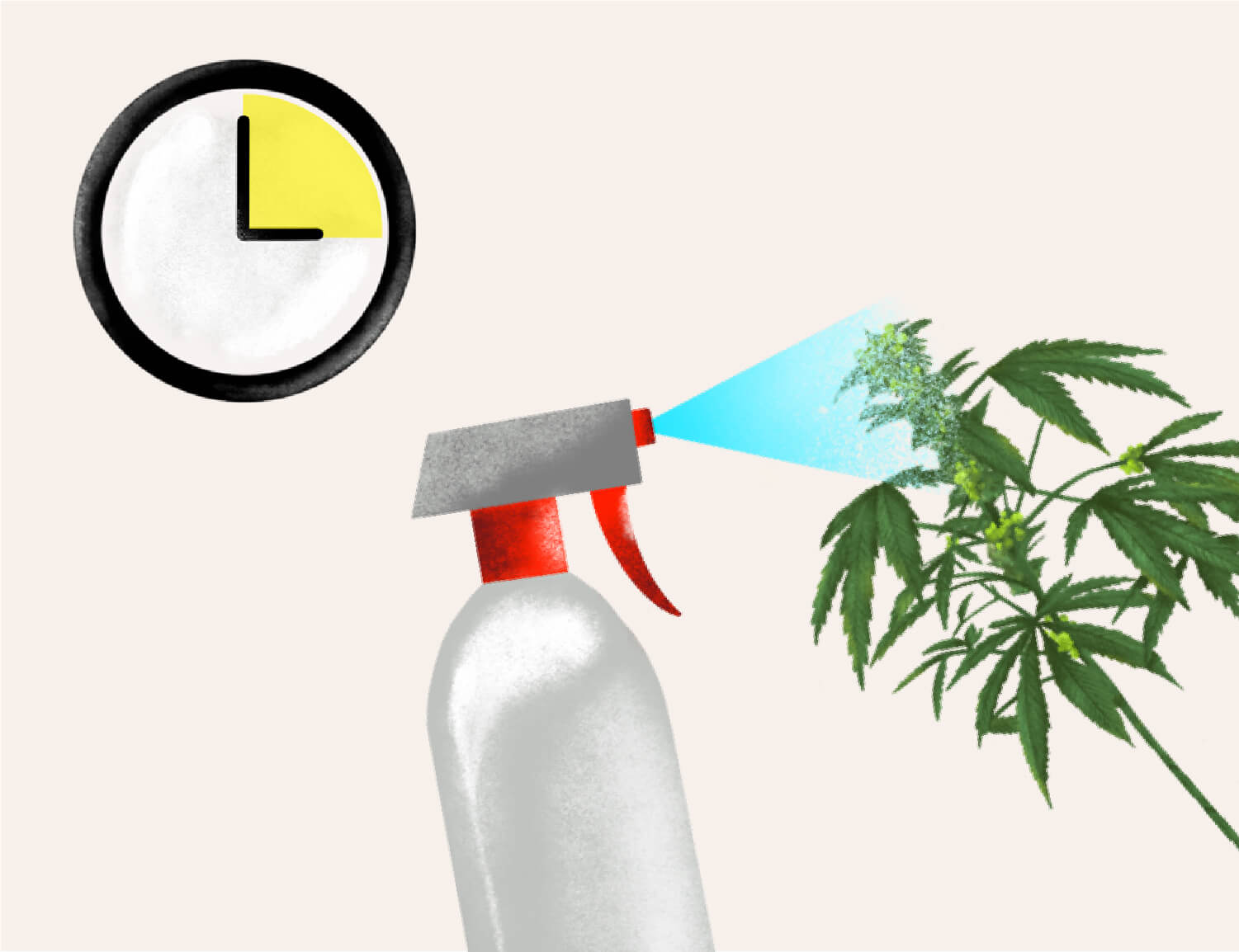 STEP 3: SPRAY DOWN YOUR PLANTS STEP 3: SPRAY DOWN YOUR PLANTS