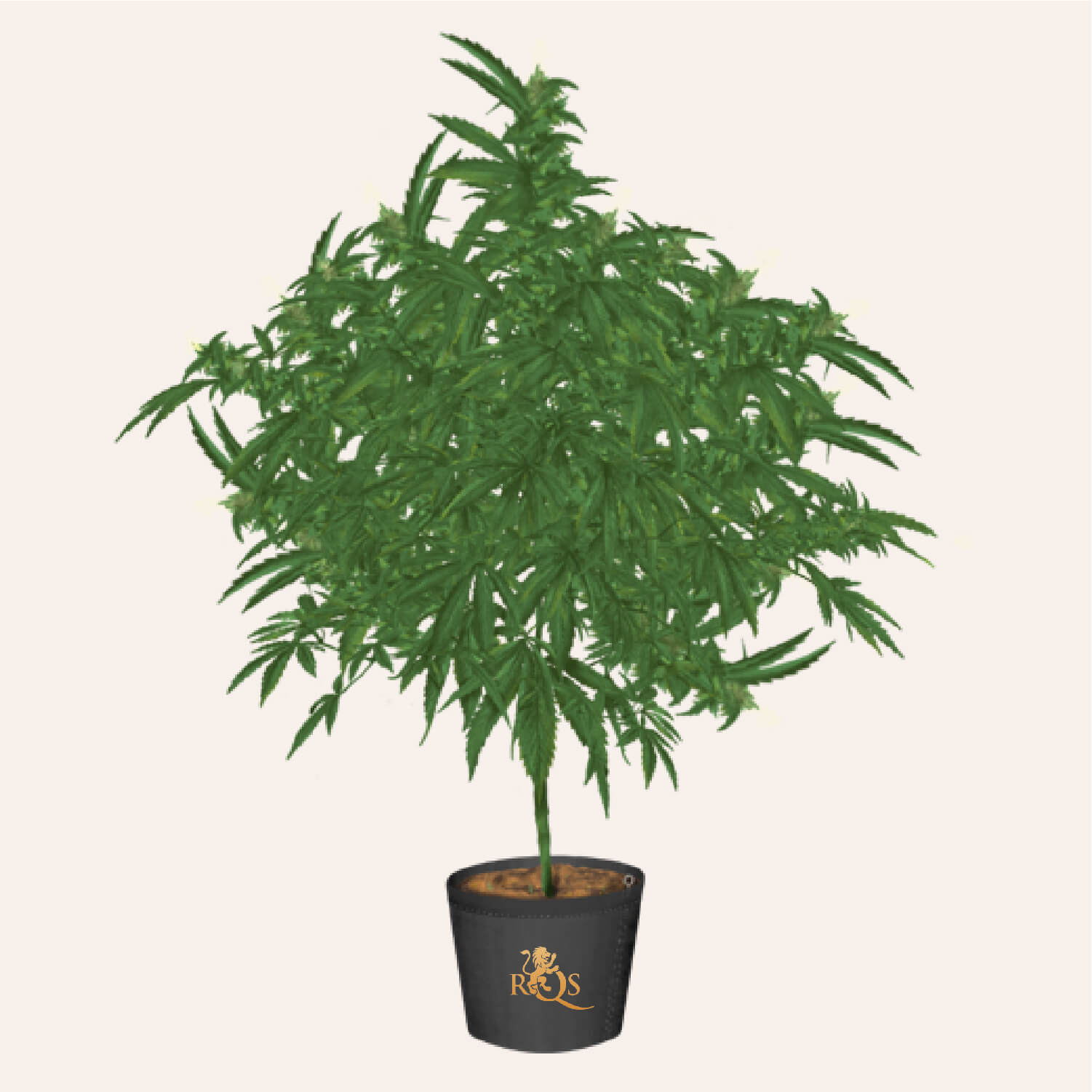 BREEDING: CREATE YOUR OWN STRAINS BREEDING: CREATE YOUR OWN STRAINS