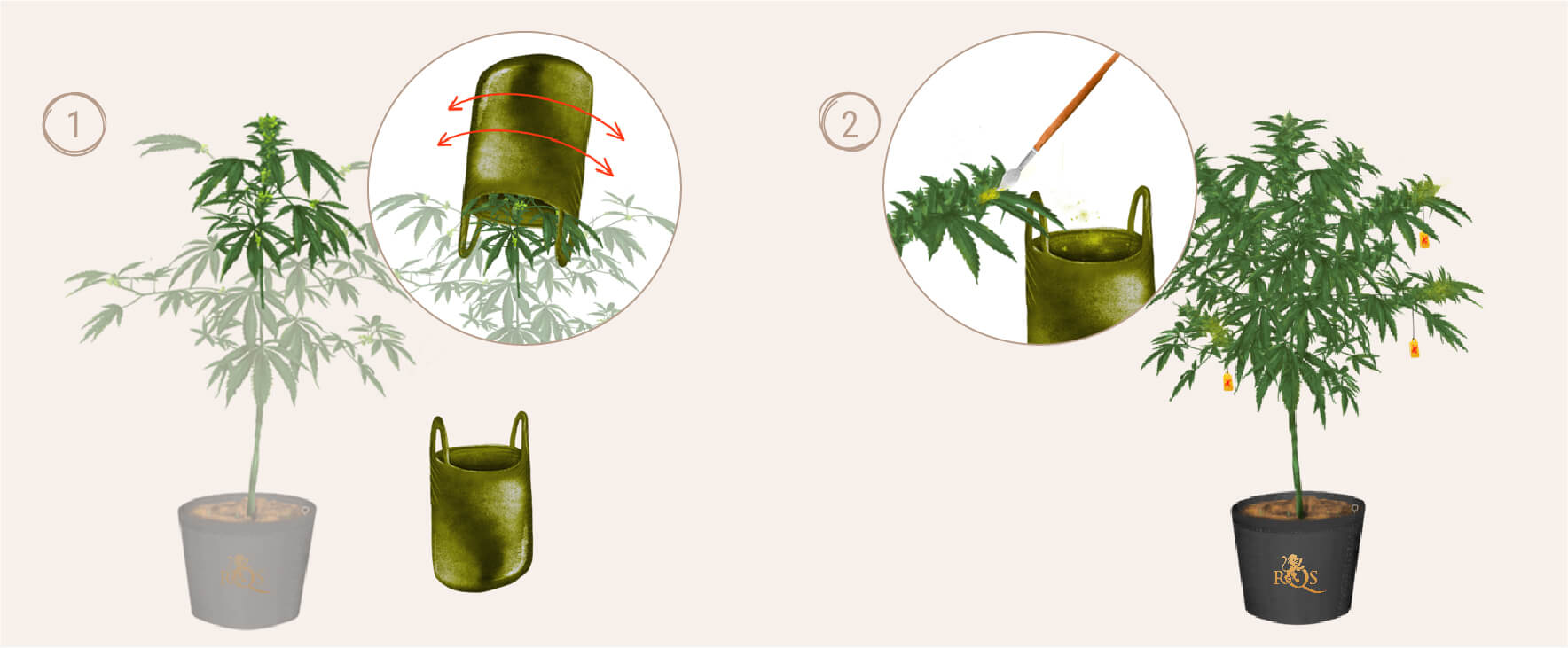 BREEDING: CREATE YOUR OWN STRAINS BREEDING: CREATE YOUR OWN STRAINS