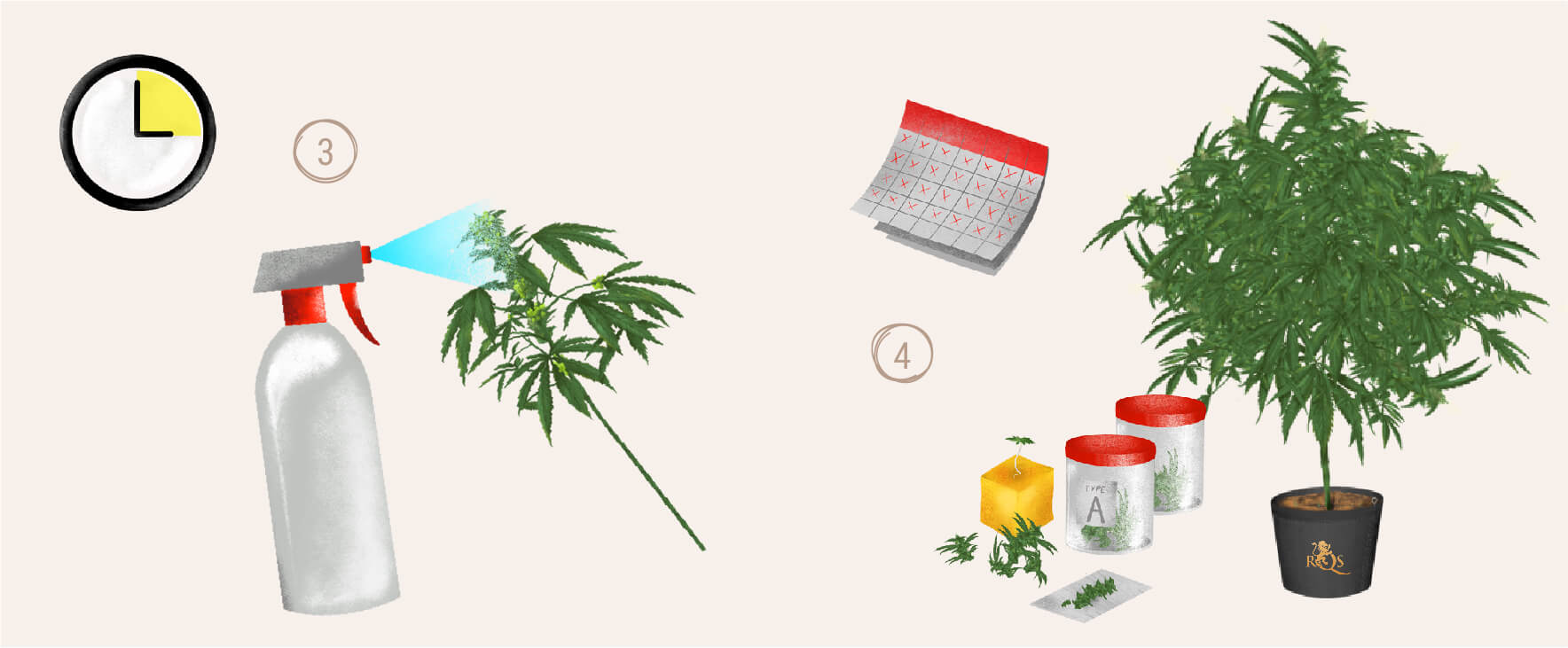 BREEDING: CREATE YOUR OWN STRAINS BREEDING: CREATE YOUR OWN STRAINS