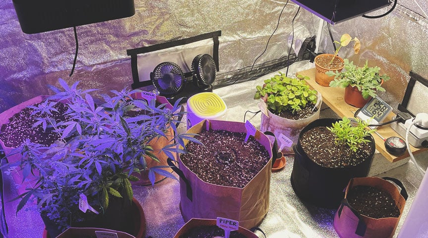 INDOOR INDOOR