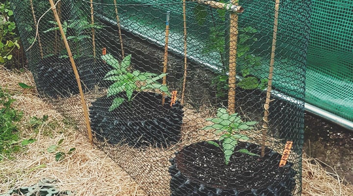 OUTDOOR OUTDOOR