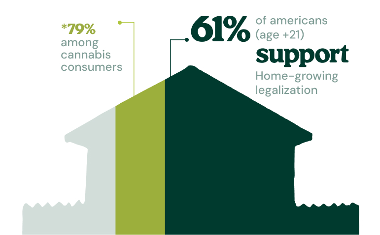 Support for Home-Growing Legalization Is Growing Infographic showing that 61% of Americans aged 21+ support home-growing legalization, rising to 79% among cannabis consumers.