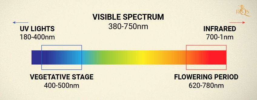 INCORRECT LIGHT SPECTRUM