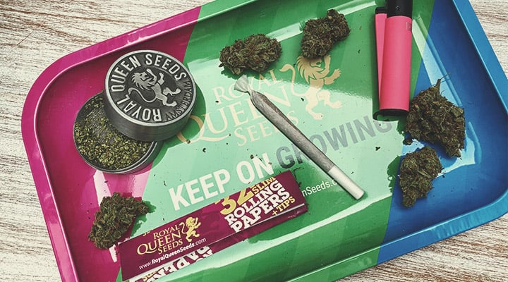 What Are Rolling Trays?