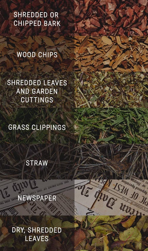 What Kind of Mulch Is Best for Cannabis? What Kind of Mulch Is Best for Cannabis?