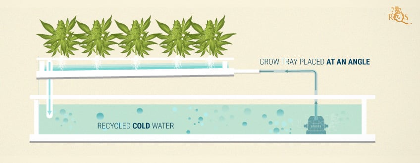 Nutrient Film Technique (NFT) Nutrient Film Technique (NFT)