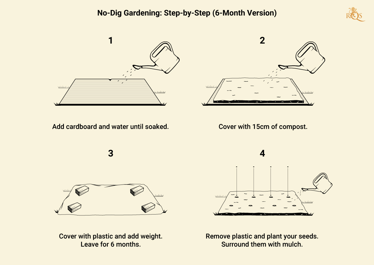 No Till Gardening Step by Step