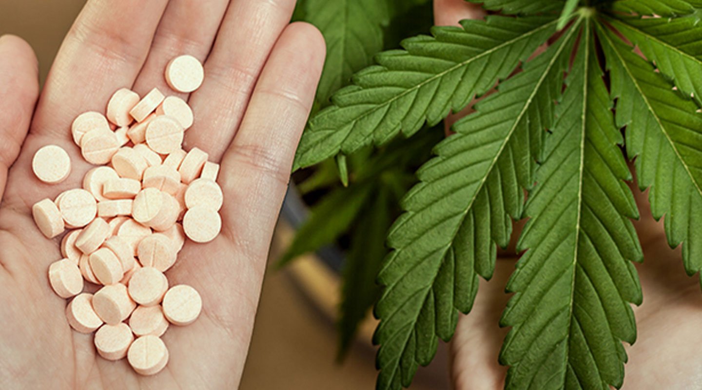 Could Cannabis Be Used Instead Of Opioids?