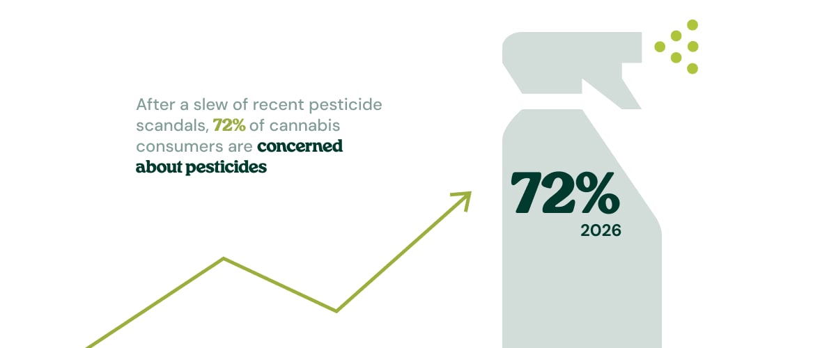 Concerns About Pesticides in Cannabis Are Rising Infographic showing pesticide concerns in store-bought cannabis rising.