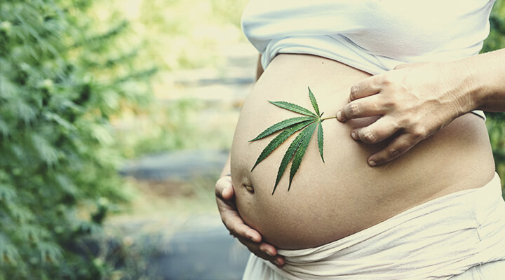 Cannabis and CBD Use During Pregnancy