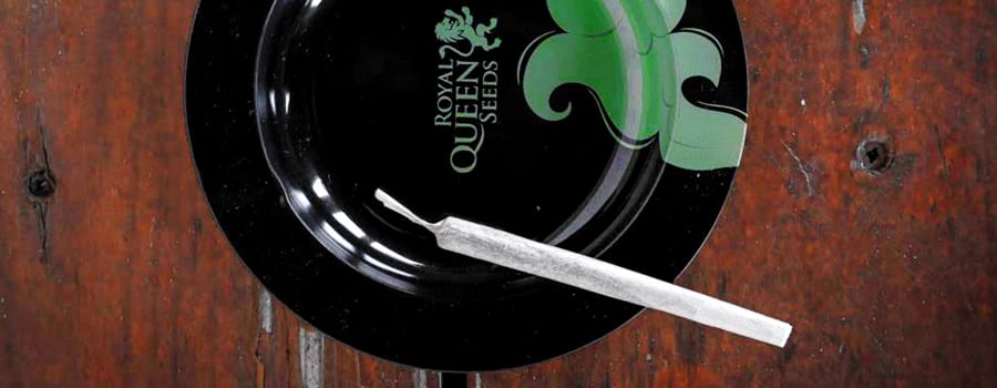 Pre-rolled Joint Pre-rolled Joint