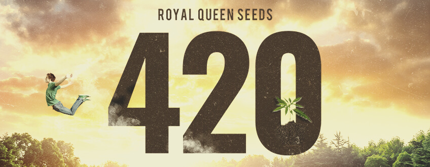420 at Royal Queen Seeds