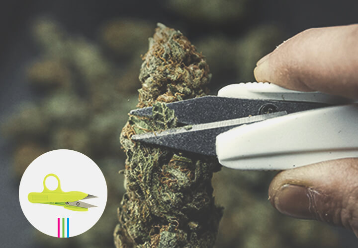 Pruning Shears Pruning Shears