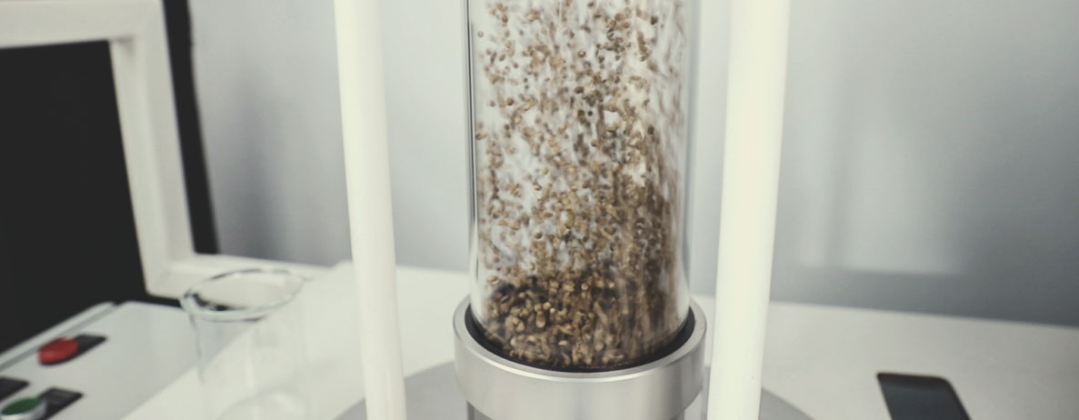 Royal Queen Seeds Quality Control Process: Step by Step Royal Queen Seeds Quality Control Process: Step by Step