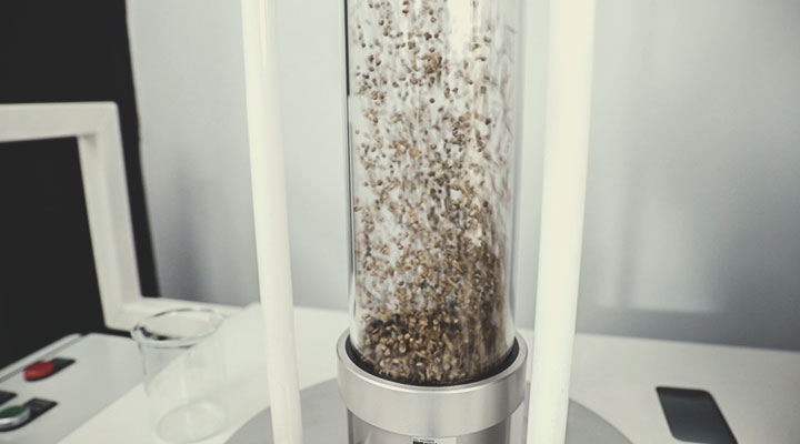Royal Queen Seeds Quality Control Process: Step by Step Royal Queen Seeds Quality Control Process: Step by Step