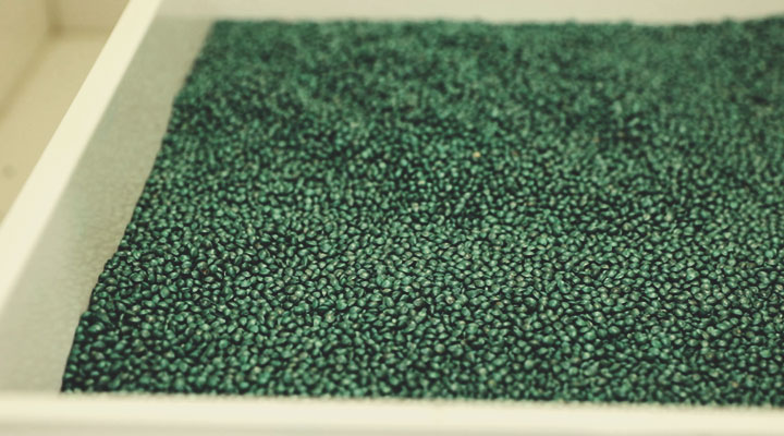 Royal Queen Seeds Quality Control Process: Step by Step Royal Queen Seeds Quality Control Process: Step by Step