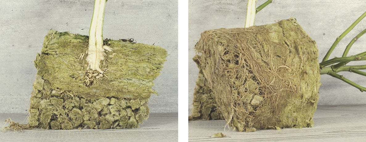 Can Rockwool Be Composted?