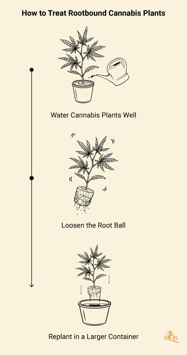 Rootbound Solution