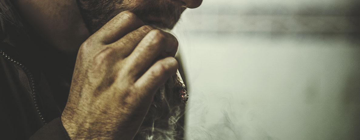 How Cannabis Is Broken Down by the Body How Cannabis Is Broken Down by the Body