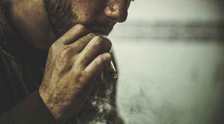 How Cannabis Is Broken Down by the Body How Cannabis Is Broken Down by the Body