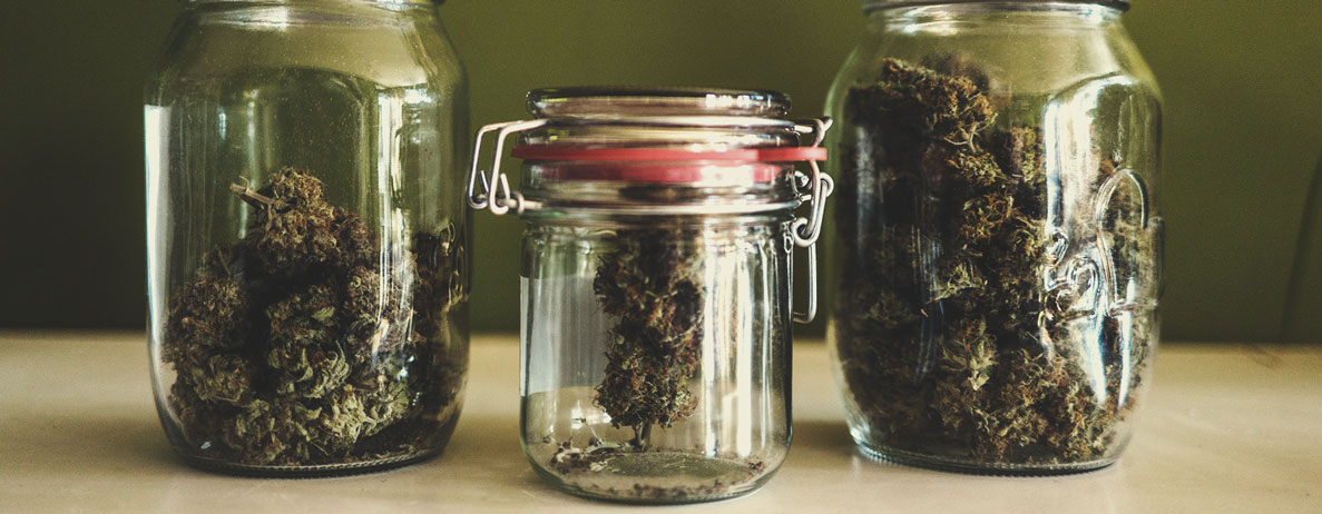 The Effects of Different Cannabinoid Profiles The Effects of Different Cannabinoid Profiles