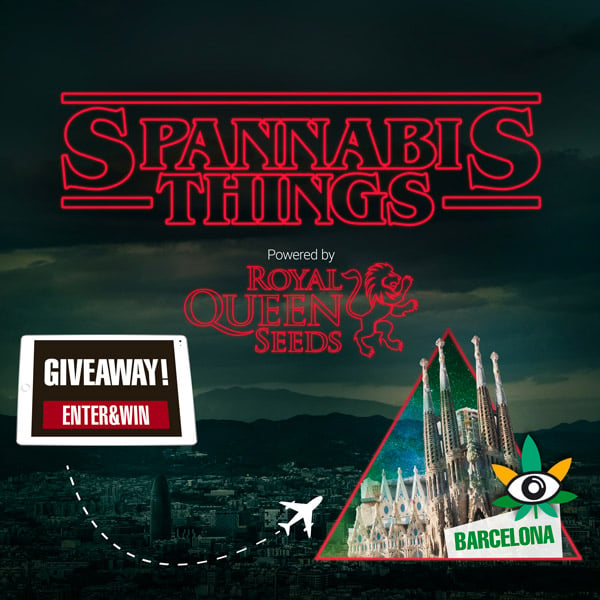 SPANNABIS THINGS RAFFLE