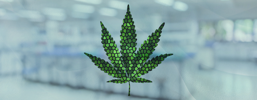 Synthetic cannabis no regulated dangerous