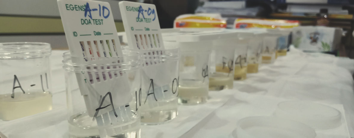 How Long Is THC Detectable in the Body? How Long Is THC Detectable in the Body?