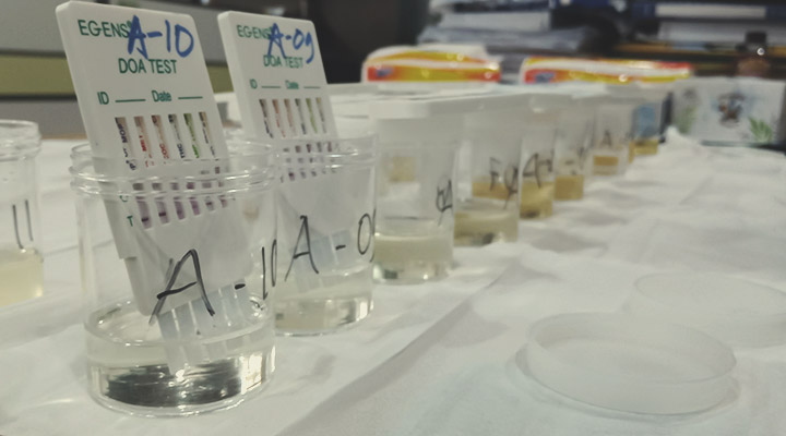 How Long Is THC Detectable in the Body? How Long Is THC Detectable in the Body?