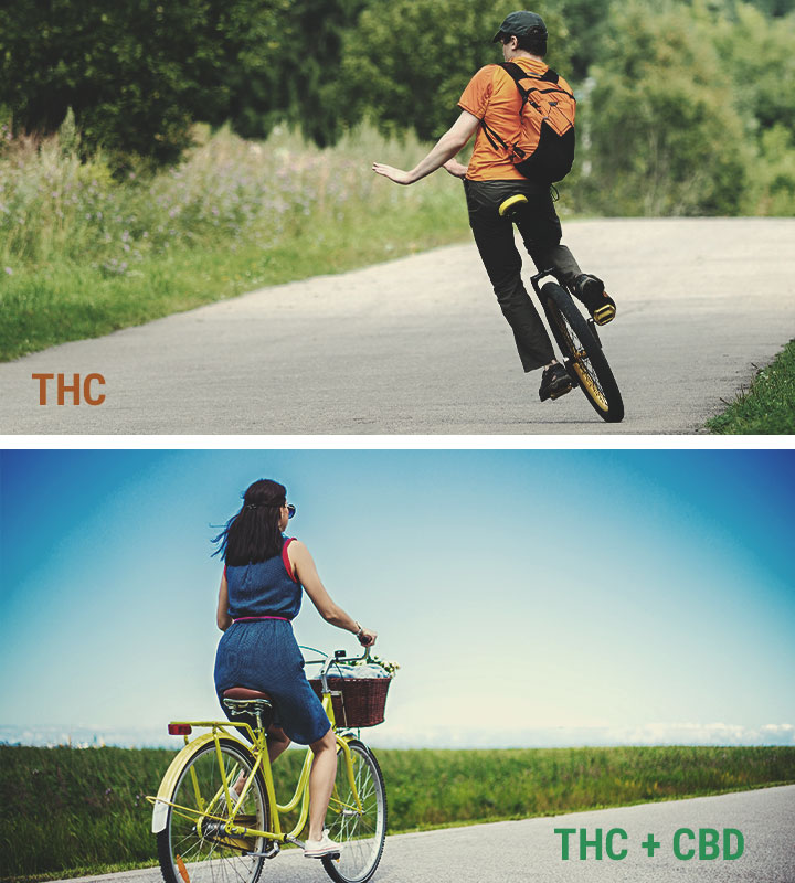 CBD vs THC CBD vs THC