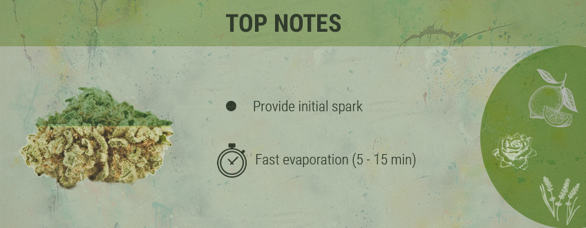 Top Notes Cannabis Top Notes Cannabis