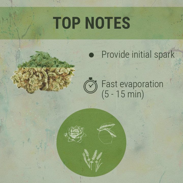 Top Notes Cannabis Top Notes Cannabis