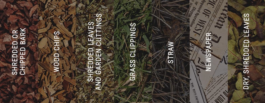 What Kind of Mulch Is Best for Cannabis? What Kind of Mulch Is Best for Cannabis?