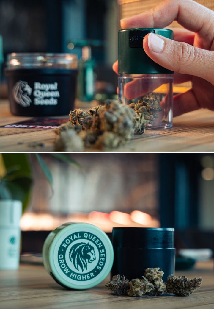 Vacuum-Sealed Storage for Fresh Cannabis Image of cannabis buds beside compact vacuum-sealed storage containers on a wooden surface.