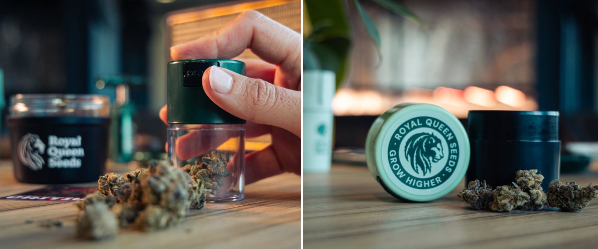 Vacuum-Sealed Storage for Fresh Cannabis Image of cannabis buds beside compact vacuum-sealed storage containers on a wooden surface.