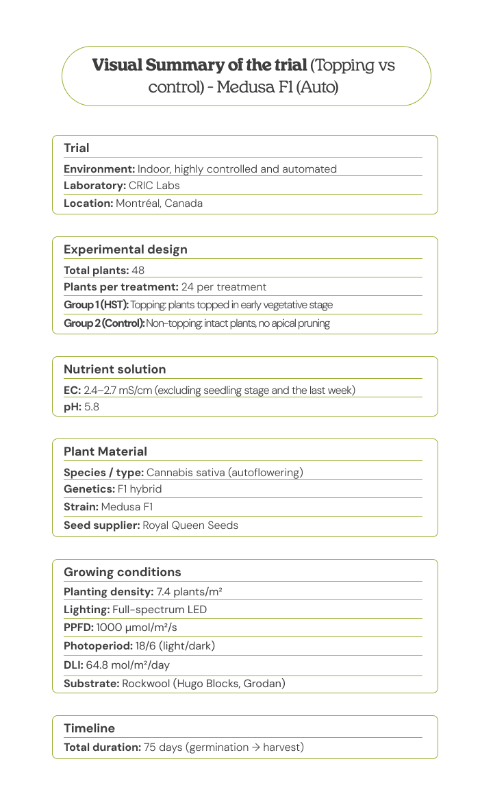 Visual summary of the Medusa F1 (Auto) trial comparing topping vs control, showing experimental design, plant material, growing conditions, nutrient solution, and timeline