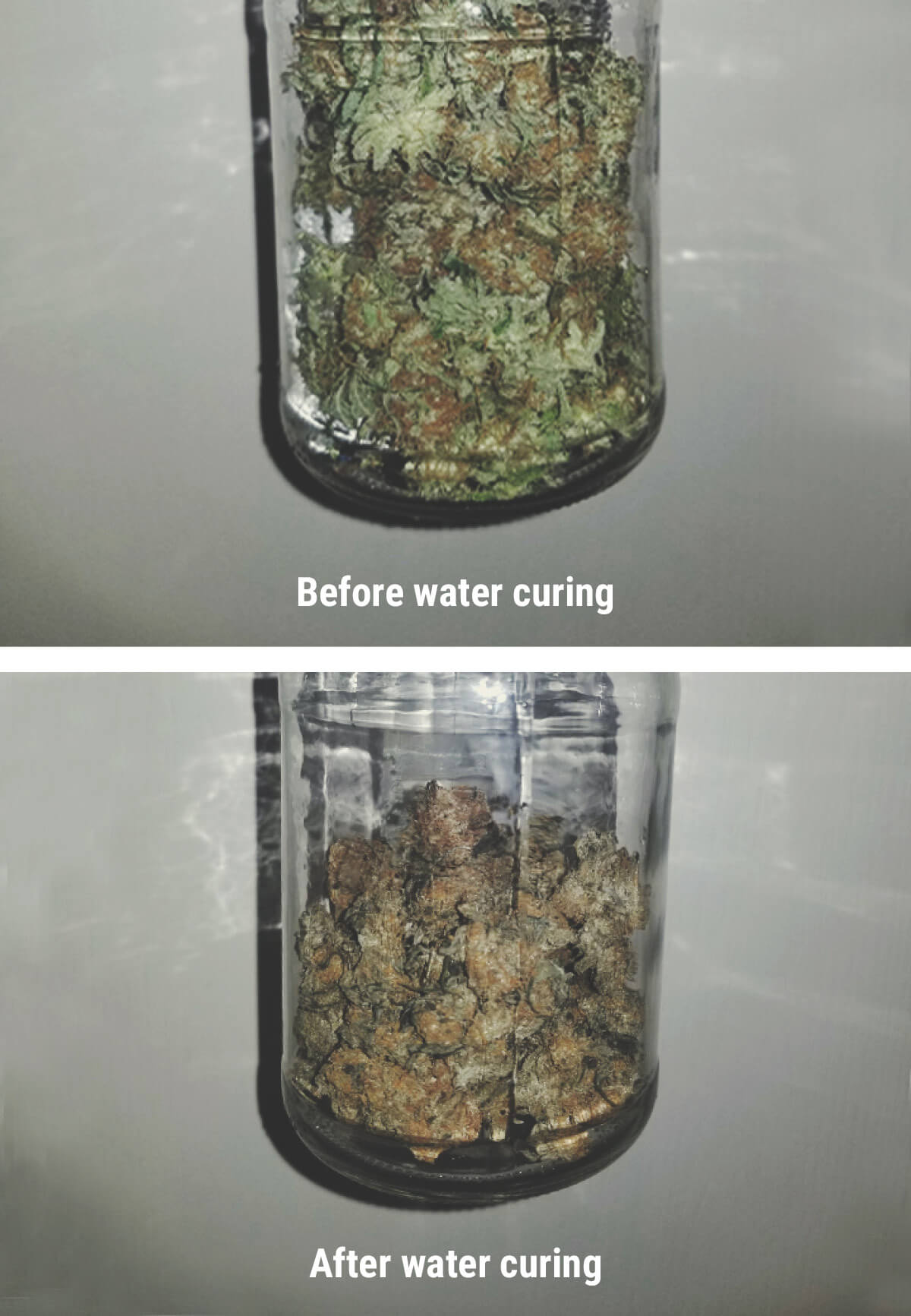Cannabis Water Curing Cannabis Water Curing
