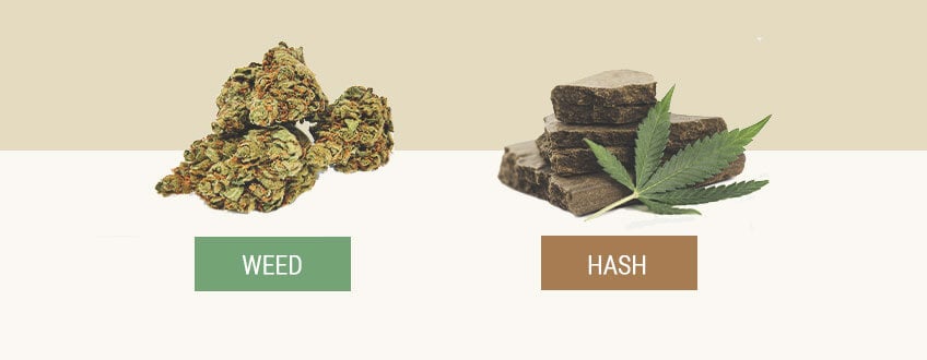 Hash vs Weed
