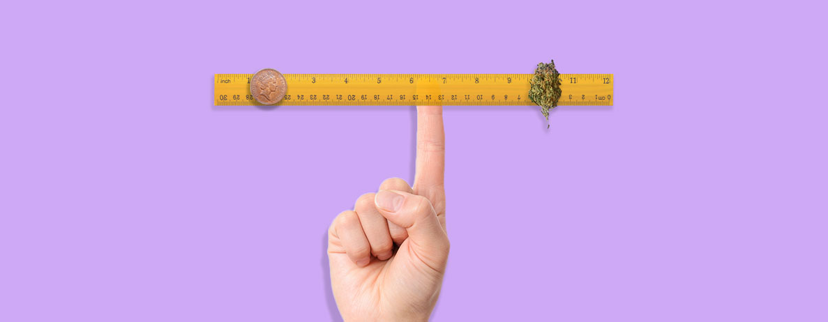How to Weigh Weed Without a Scale How to Weigh Weed Without a Scale