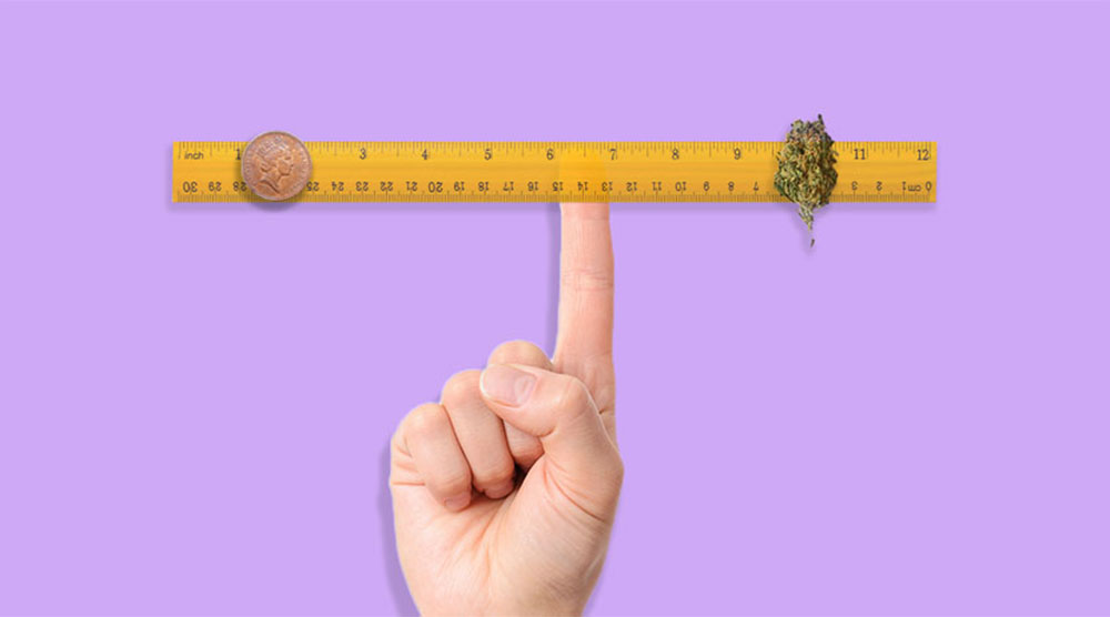 How to Weigh Weed Without a Scale How to Weigh Weed Without a Scale