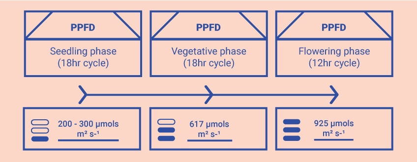 Optimising Your Knowledge in the Grow Room