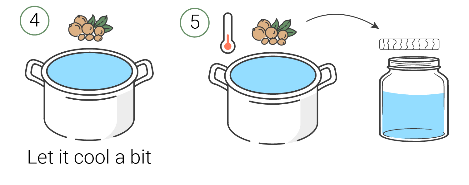 How to Make Cannabis Lotions — Cannabis Topicals 101