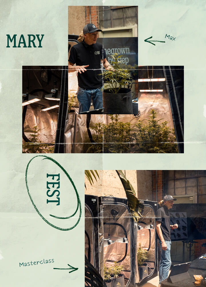 Mary Fest Mary Fest