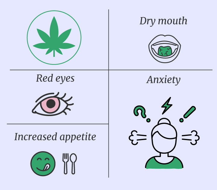 Cannabis vs Magic Mushrooms
