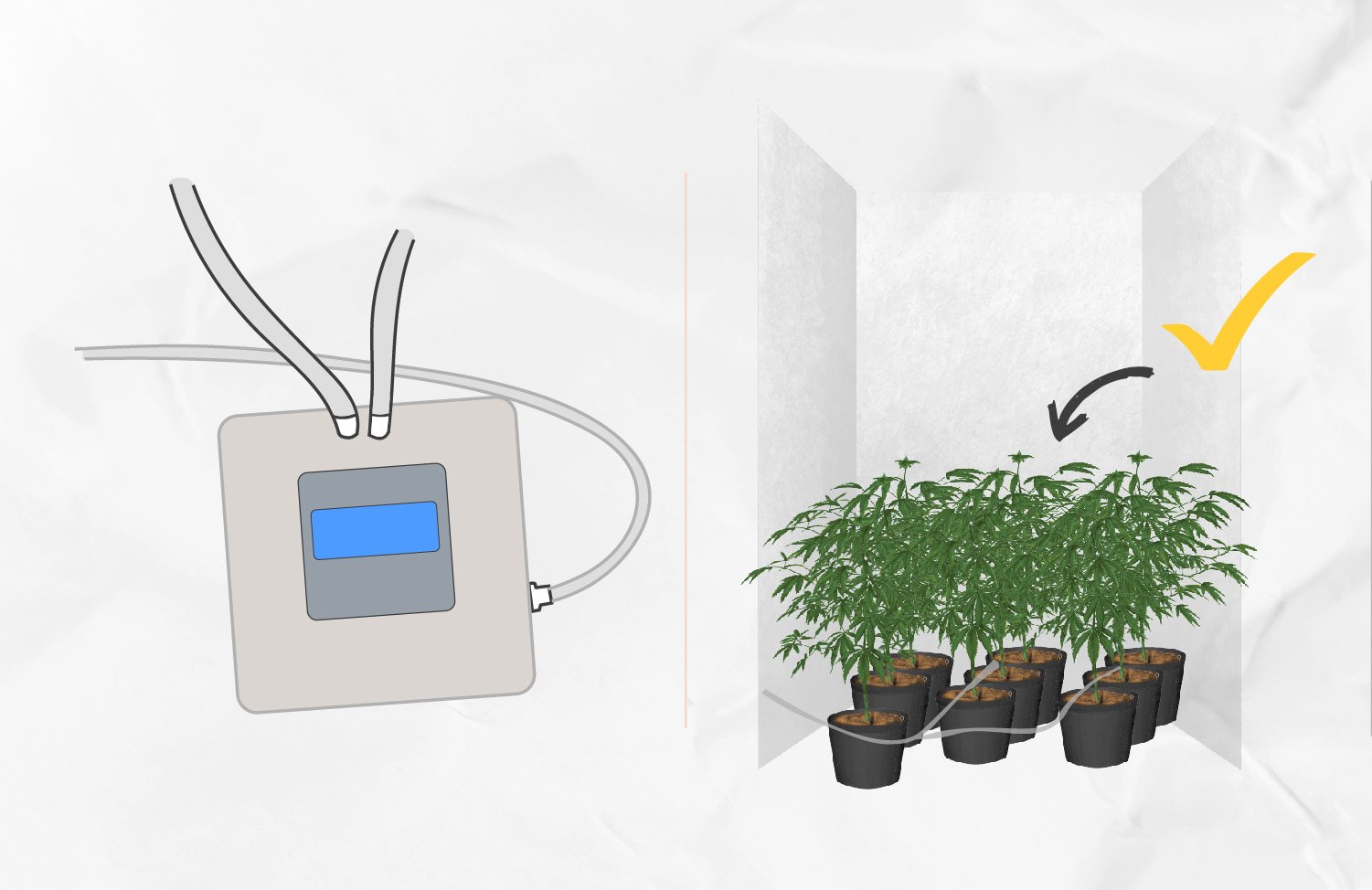 Building Your Own DIY Drip Irrigation System for Growing Cannabis