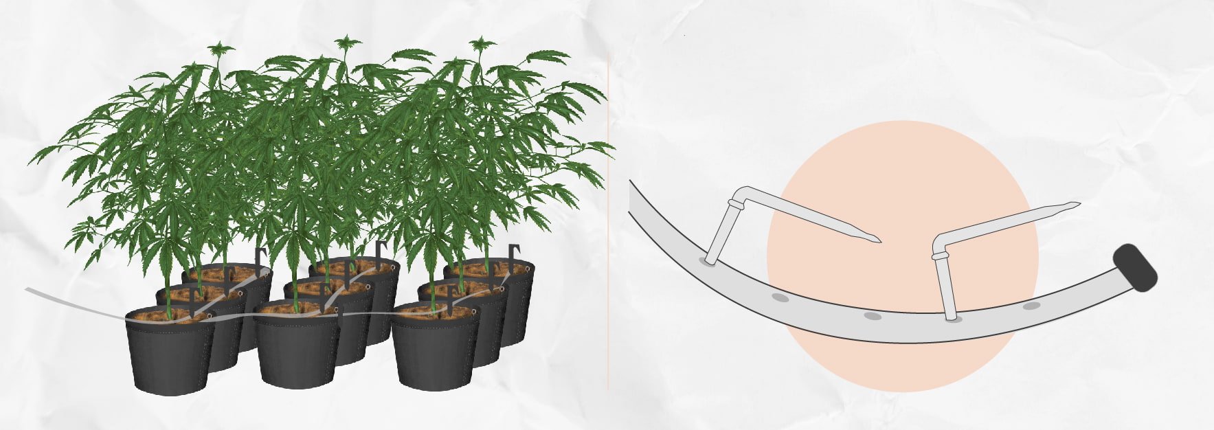 Building Your Own DIY Drip Irrigation System for Growing Cannabis