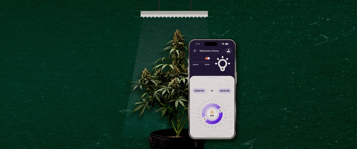 An illustration of a cannabis plant under a grow light with a smartphone displaying a control app, set against a green background, highlighting advanced features worth considering.